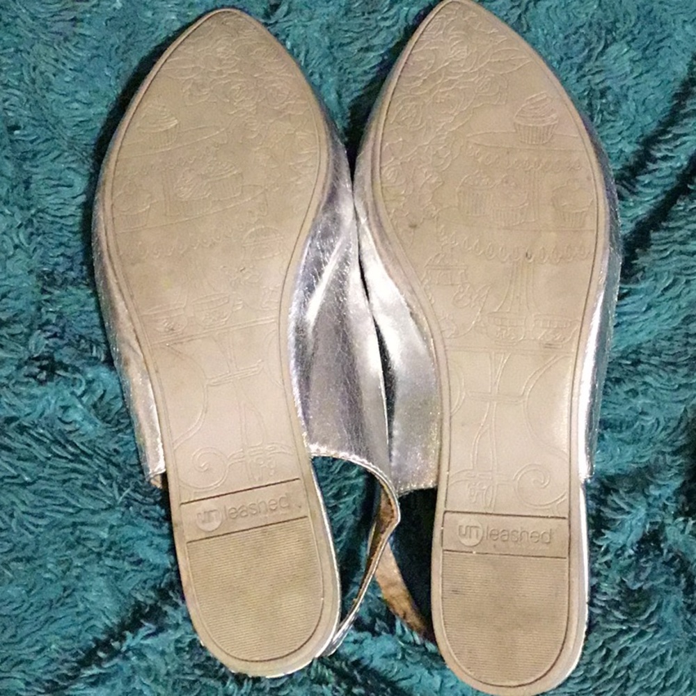 Shiny Flats - Picture 4 of 4